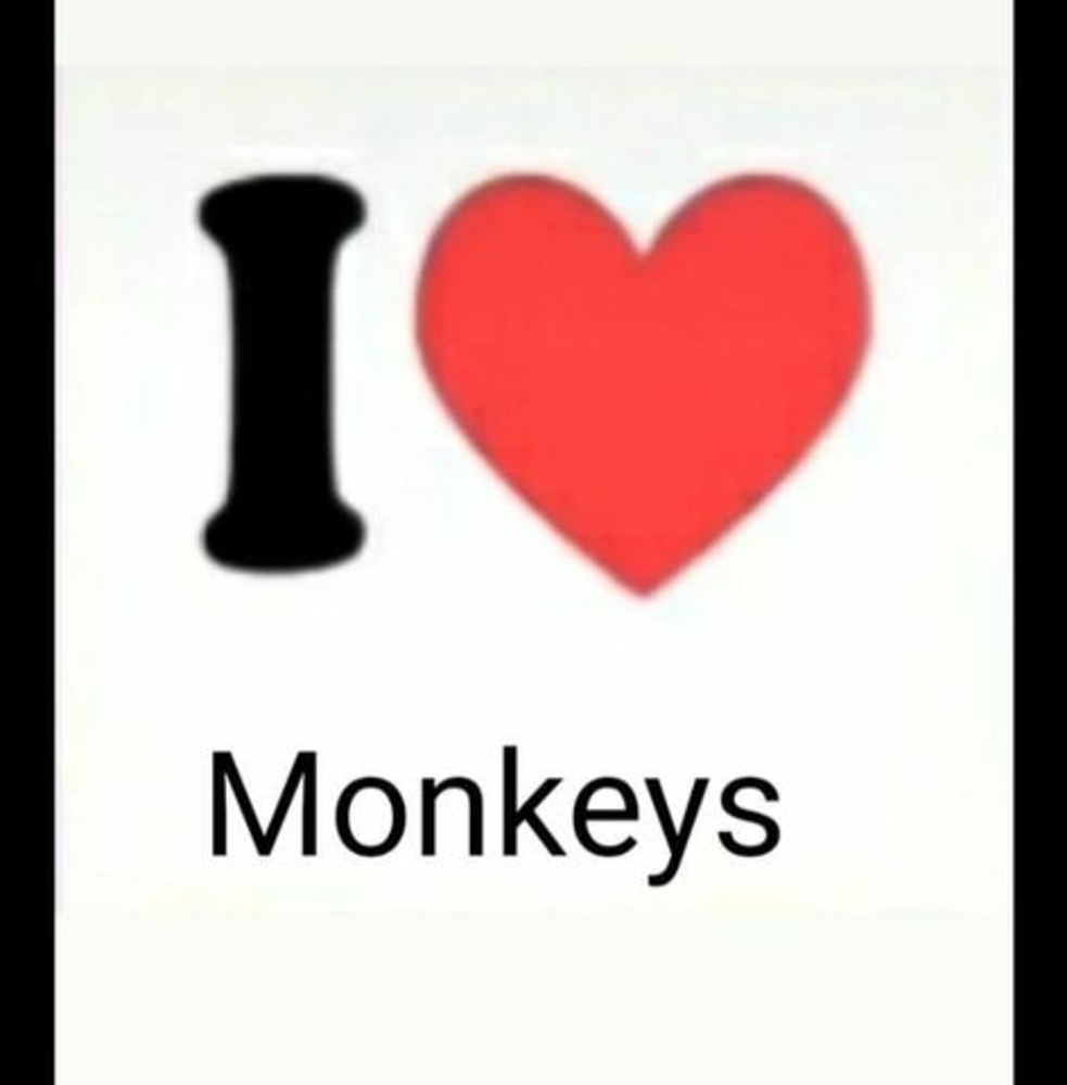 Meet your Posher, Riley